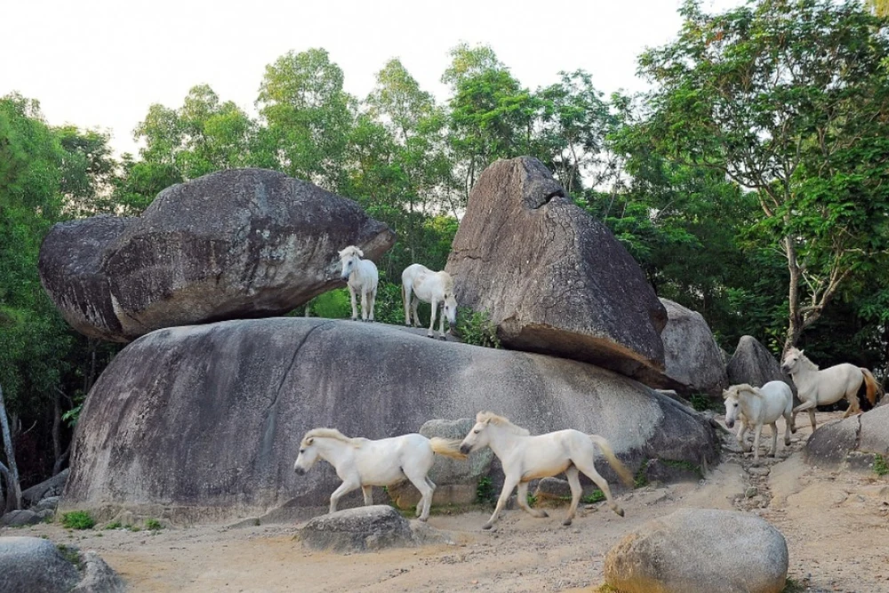 Hòn Trống Mái - Biểu Tượng Tình Yêu Trên Núi Trường Lệ